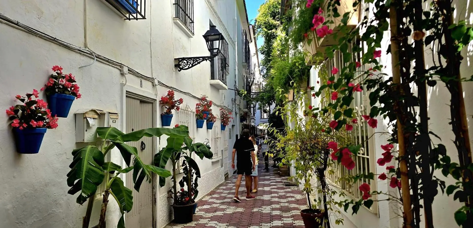 Apartamento De La Rosa Marbella 0*,
